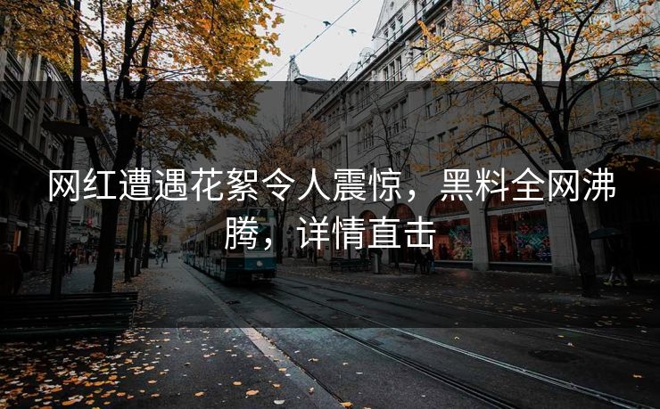 网红遭遇花絮令人震惊，黑料全网沸腾，详情直击
