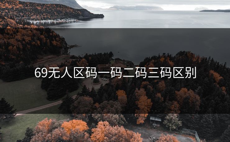 69无人区码一码二码三码区别
