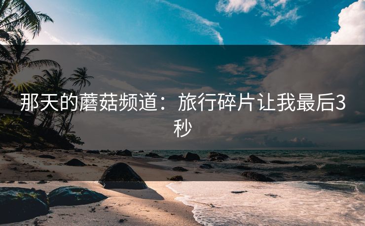 那天的蘑菇频道：旅行碎片让我最后3秒